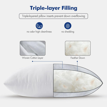 22X22 Pillow Inserts,Set of 2 down Feather Throw Pillows for Couch Sofa Bed, Dec