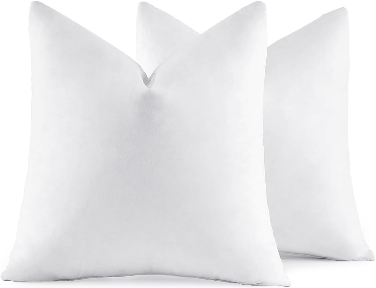 22X22 Pillow Inserts,Set of 2 down Feather Throw Pillows for Couch Sofa Bed, Dec