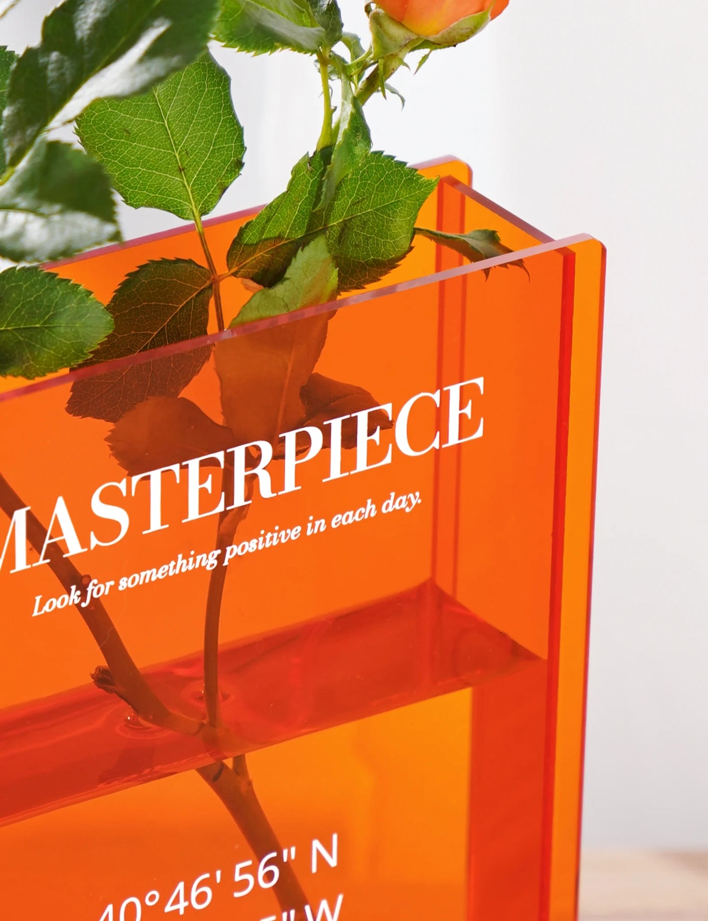 Acrylic Book Vase, Book Vase for Flowers, Chic Clock & Central Park Coordinates, Book Shaped Vase Flower Vases Decorative Aesthetic Room Decor - Orange