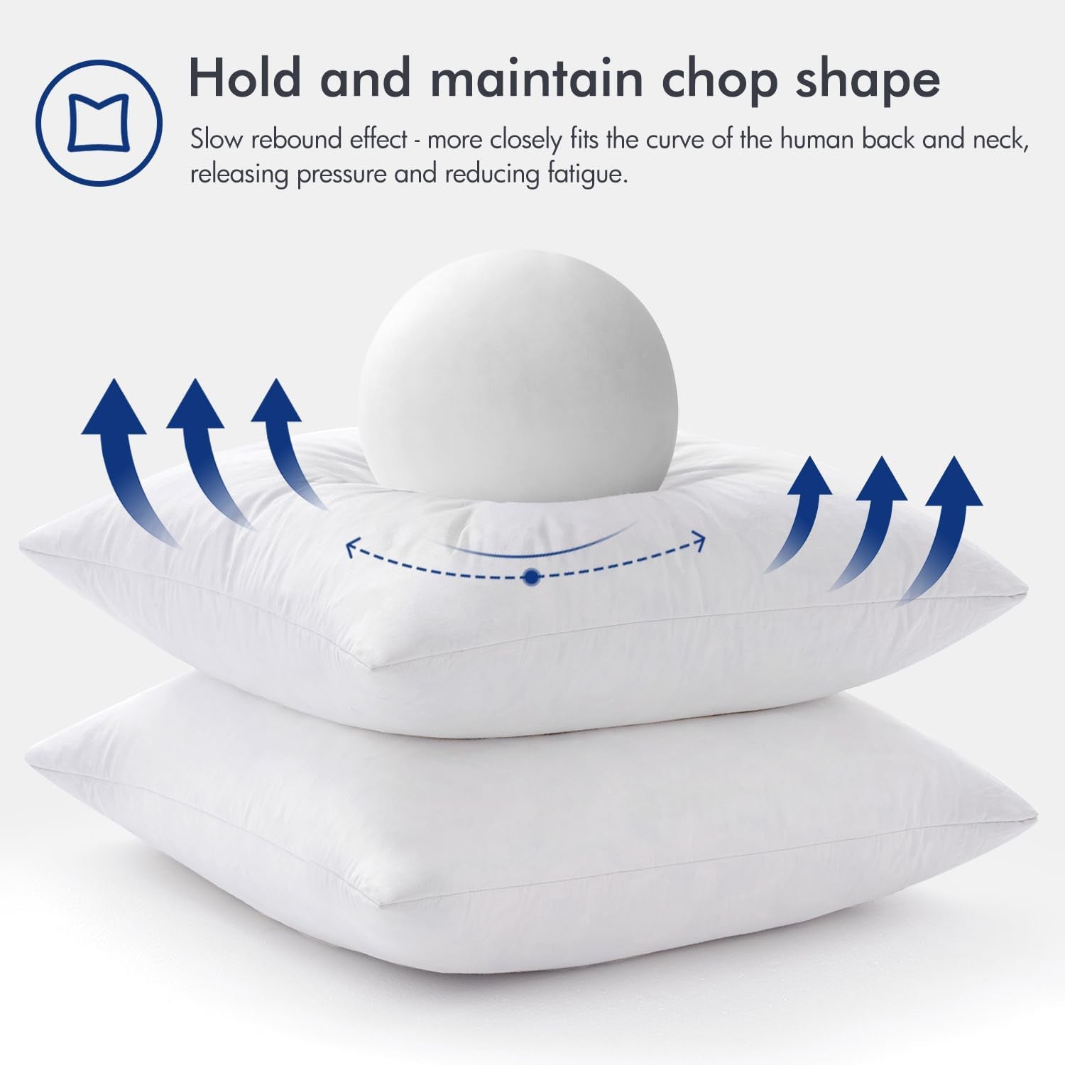 22X22 Pillow Inserts,Set of 2 down Feather Throw Pillows for Couch Sofa Bed, Dec
