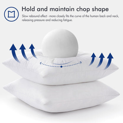 22X22 Pillow Inserts,Set of 2 down Feather Throw Pillows for Couch Sofa Bed, Dec